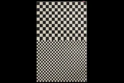 Carpretty Grand Tapis d’extérieur, beige, 300x200 cm