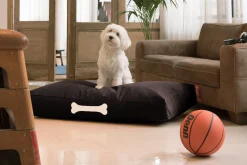 Doggielounge L Canvas Grand coussin pour chien, black, 80x120x15 cm