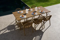 Fred's Table Table de jardin, marron, 220x100x76 cm